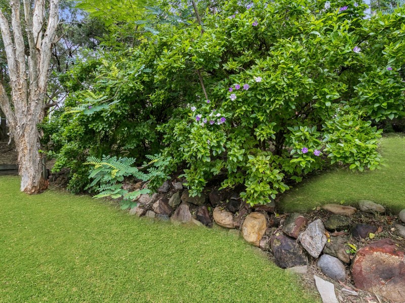 3A Boxthorn Street, Bellbowrie QLD 4070