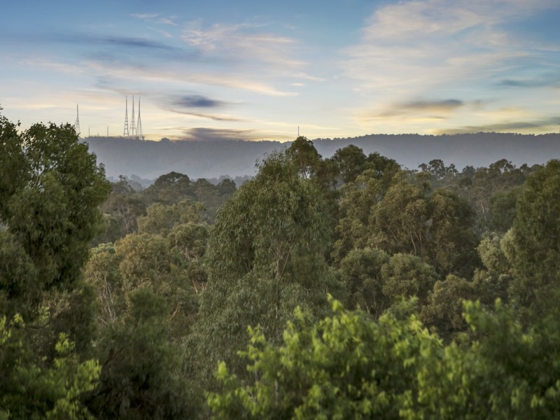 15 Rise Place, Moggill QLD 4070