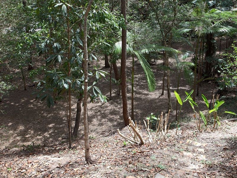 25 Elwood Street, Kenmore Hills QLD 4069