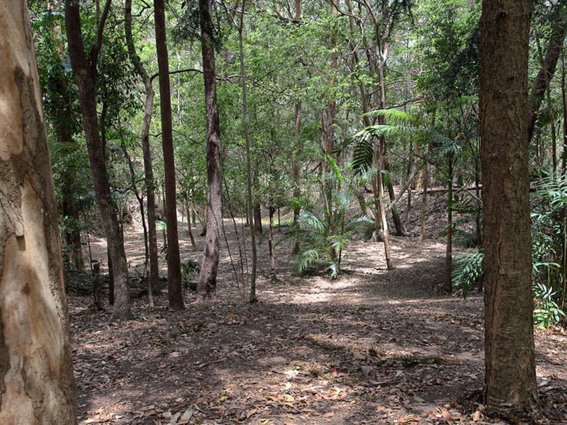 25 Elwood Street, Kenmore Hills QLD 4069