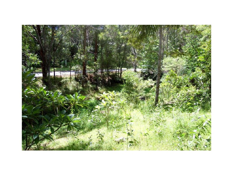 1 Jedda Street, Tallebudgera QLD 4228