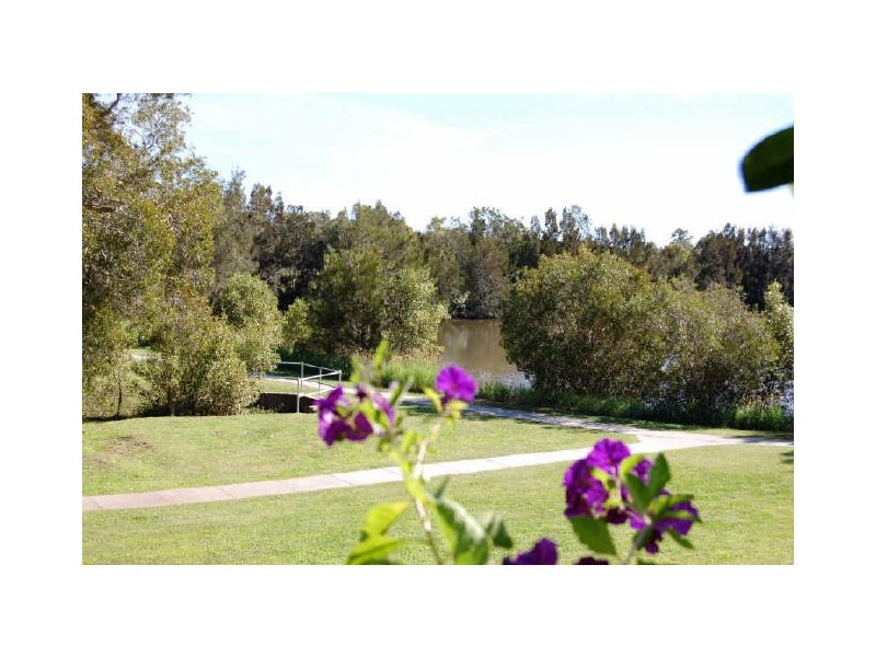 23 Tipuana St, Elanora QLD 4221