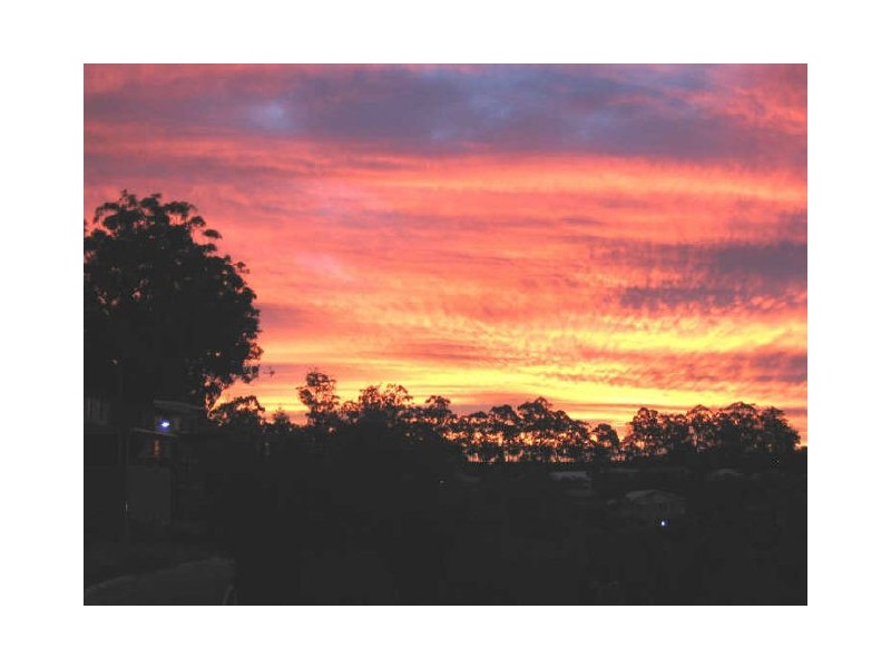 41 Sawtell Drive, Currumbin Waters QLD 4223