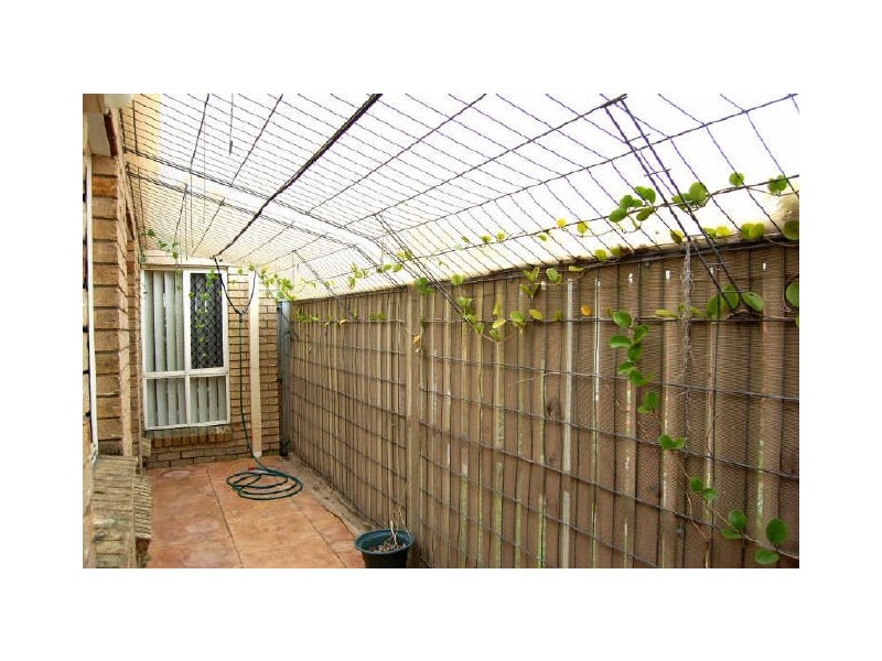 19 Triton Pde, Tugun QLD 4224