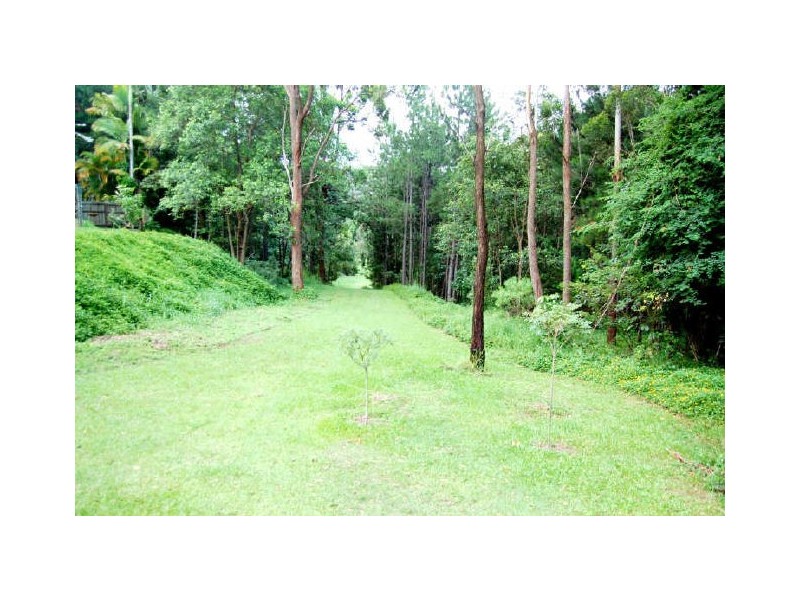 81 Toolona St, Tugun QLD 4224