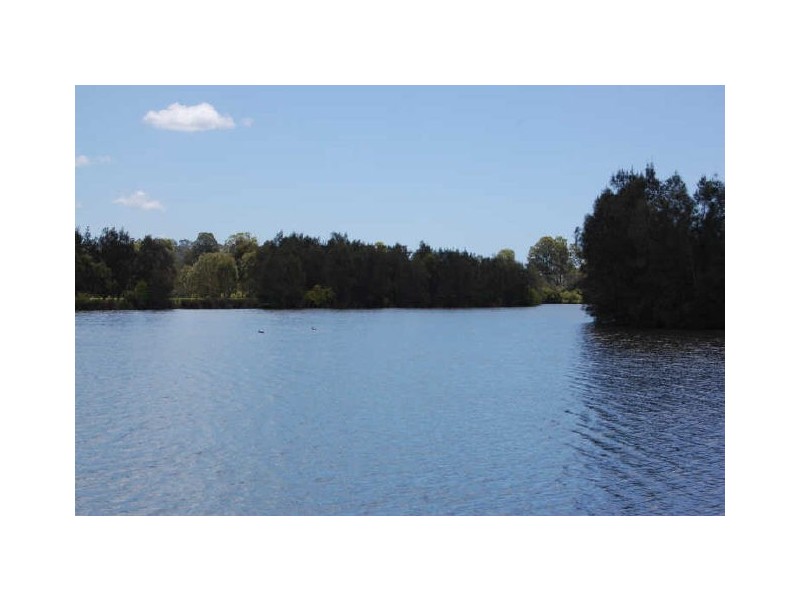 23 Tipuana St, Elanora QLD 4221