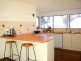 50 Kitchener St, Tugun QLD 4224