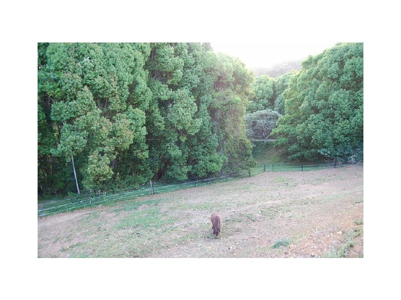 6A Yarra Ct, Tallebudgera Valley QLD 4228