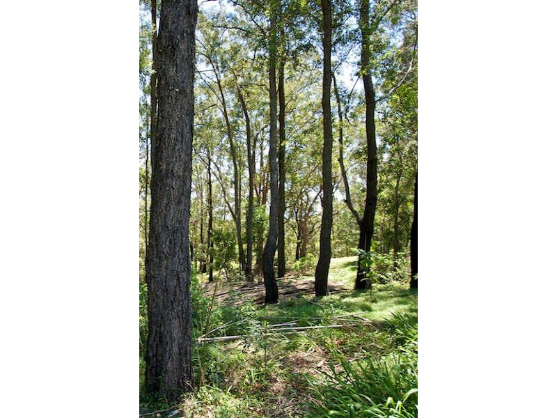 57 Westminster Blvde, Elanora QLD 4221