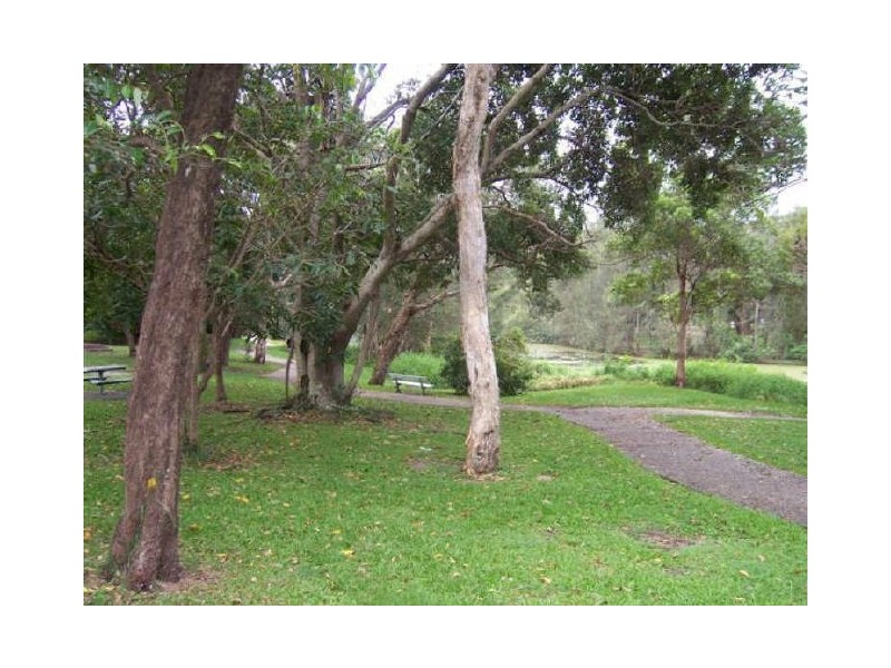17 Wade St, Tugun QLD 4224