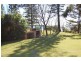 Tugun QLD 4224