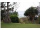 Tugun QLD 4224
