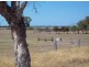 Lot 7 Stevens Road, Currency Creek SA 5214