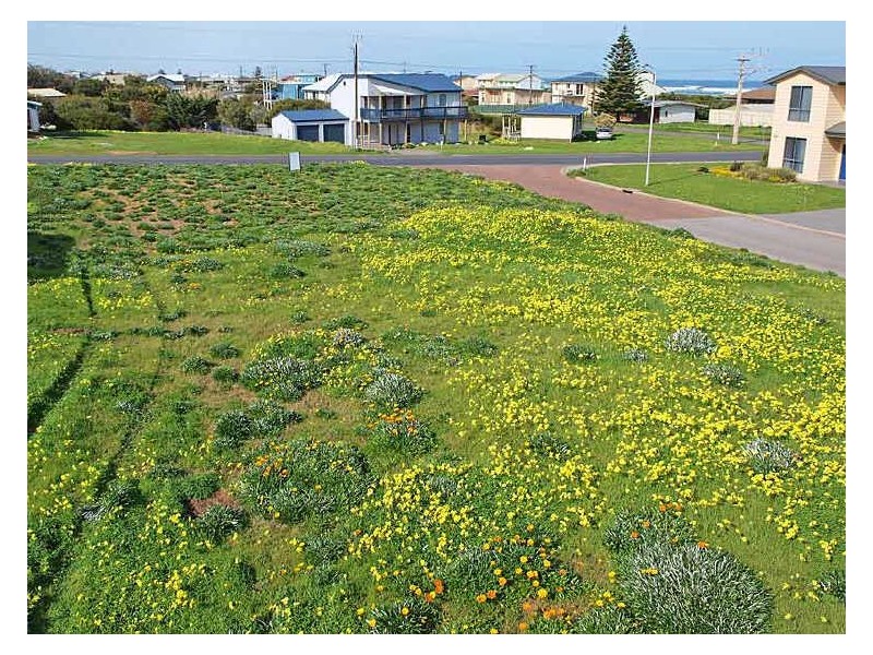 Lot 61/11 Chapman Road, Middleton SA 5213