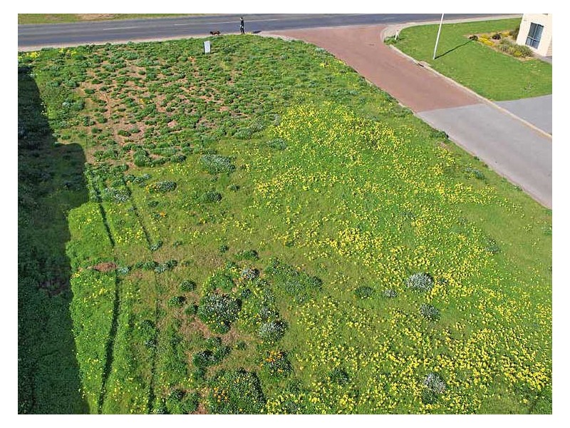 Lot 61/11 Chapman Road, Middleton SA 5213