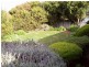 20 Haynes Street, Goolwa Beach SA 5214