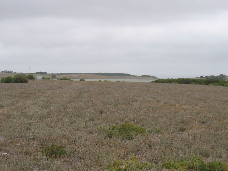 Lot 71 Goat Island, Clayton SA 5256