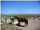 Section 46 Chappell Road, Hindmarsh Island SA 5214