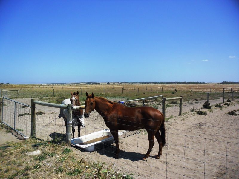Section 46 Chappell Road, Hindmarsh Island SA 5214