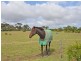Lot 103 Main Road, Finniss SA 5255