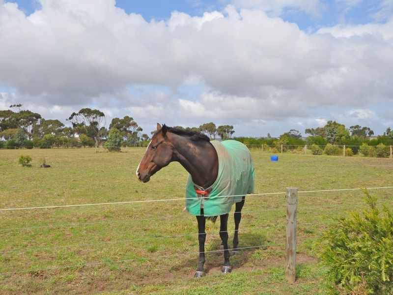 Lot 103 Main Road, Finniss SA 5255