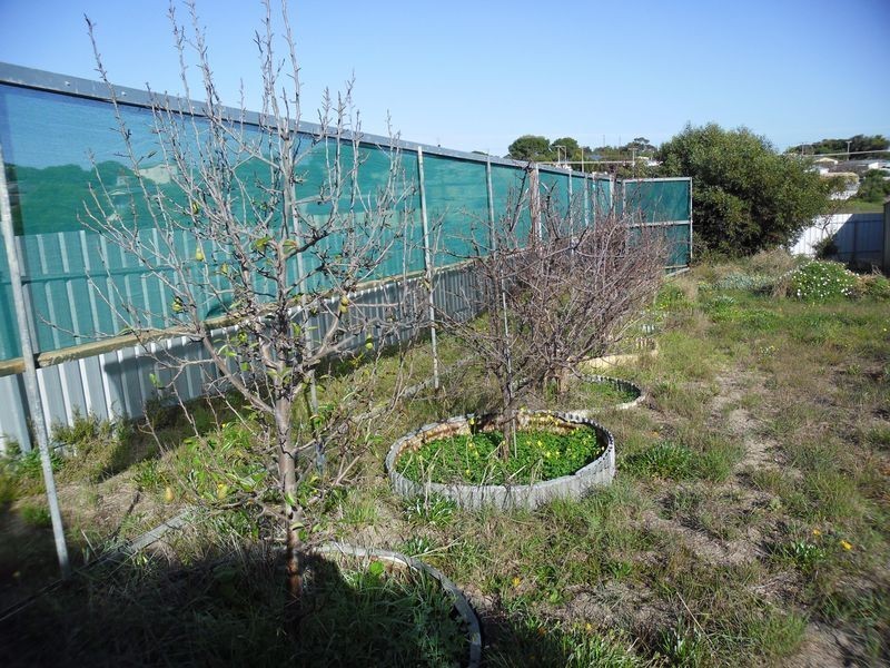 3 Lacrington Street, Goolwa Beach SA 5214