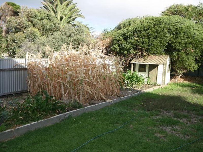 1 Bowley Street, Goolwa Beach SA 5214