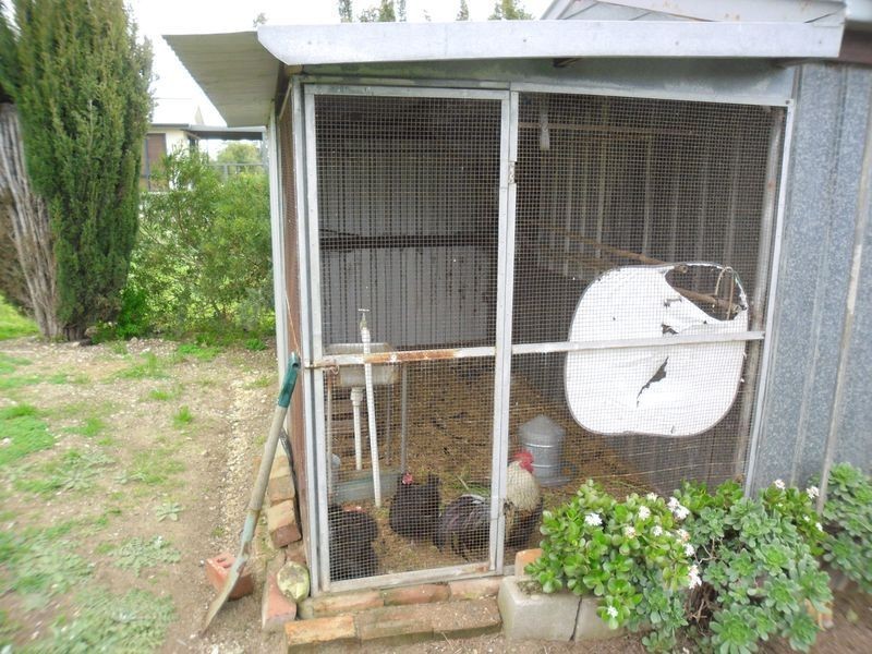 22 Alexandrina Drive, Clayton SA 5256