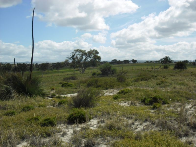 Lot 167 Shipway Road, Currency Creek SA 5214