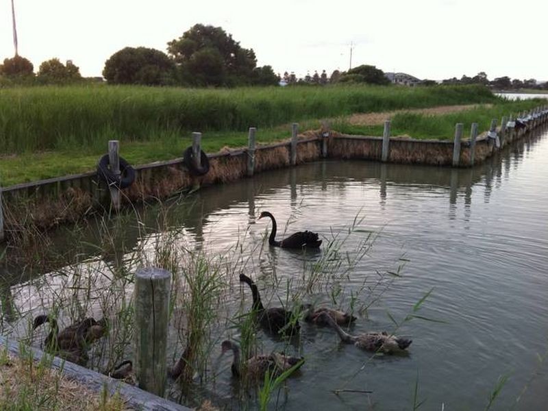 1 Randell Road, Hindmarsh Island SA 5214