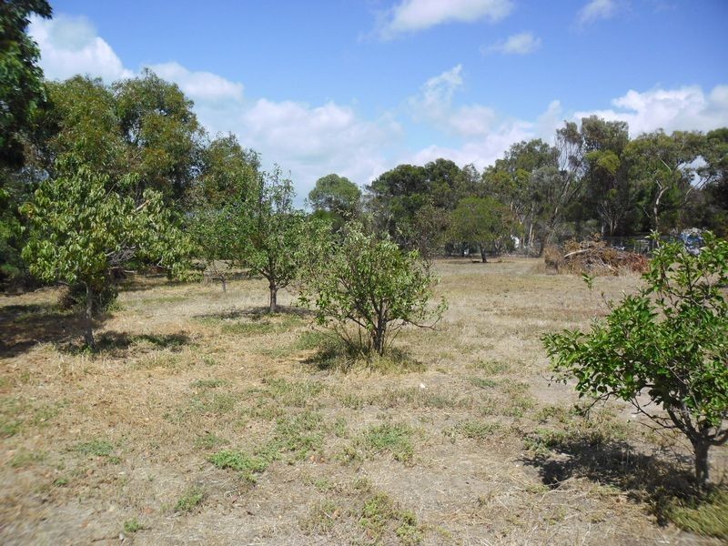 43 Goode Street, Goolwa North SA 5214