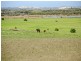 1260 Randell Road, Hindmarsh Island SA 5214