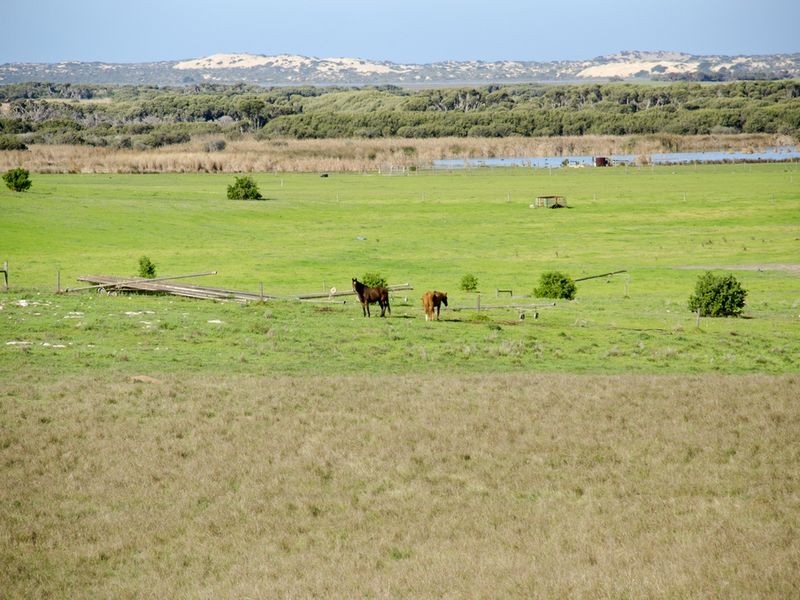 1260 Randell Road, Hindmarsh Island SA 5214