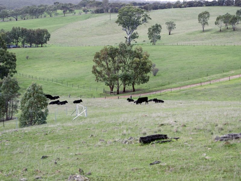 Lot 2 Braeside Road, Finniss SA 5255