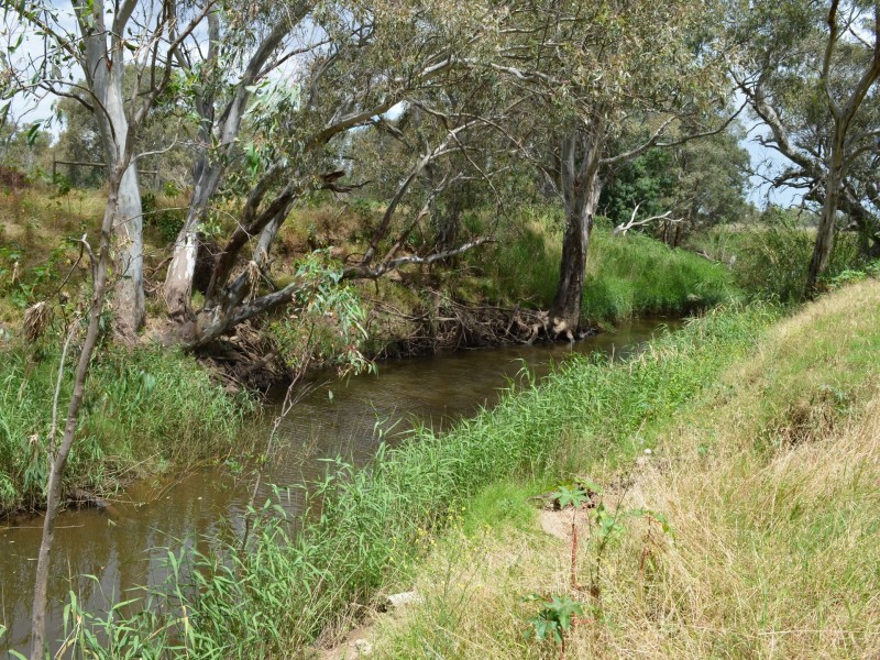 242 Avondale Road, Hartley SA 5255