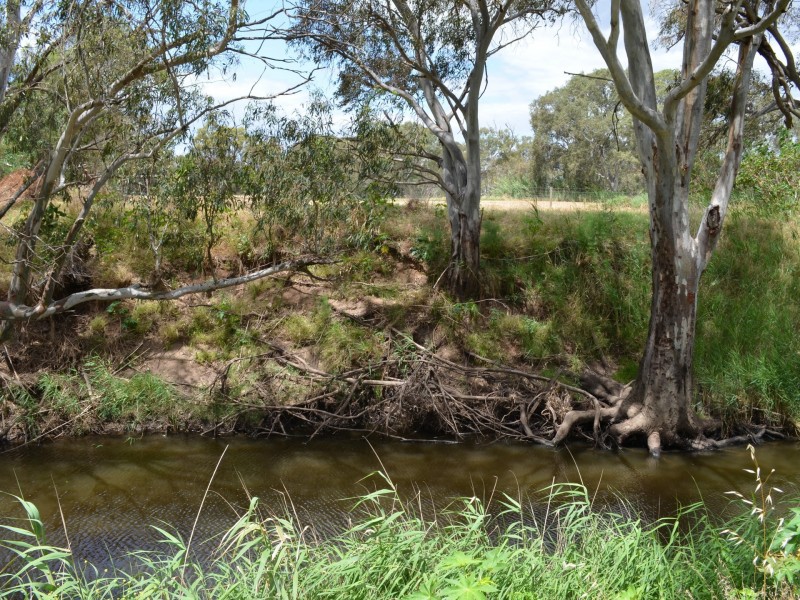 242 Avondale Road, Hartley SA 5255