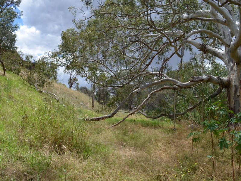 242 Avondale Road, Hartley SA 5255