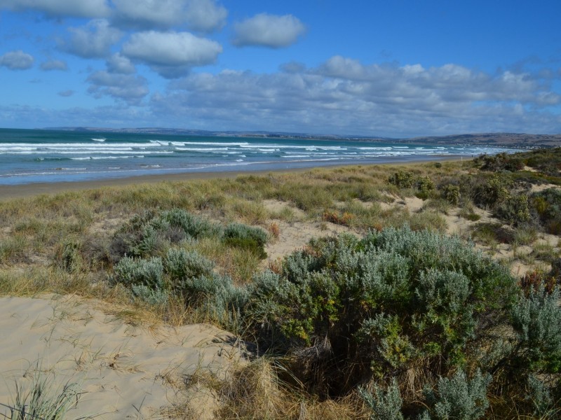 61 Neighbour Avenue, Goolwa Beach SA 5214