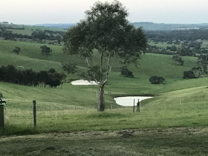 116 The Brook Drive, Currency Creek SA 5214