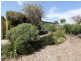 42 Underwood Avenue, Goolwa Beach SA 5214