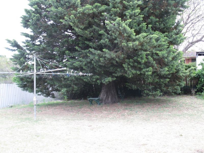 3 Wiggins Road, Orelia WA 6167