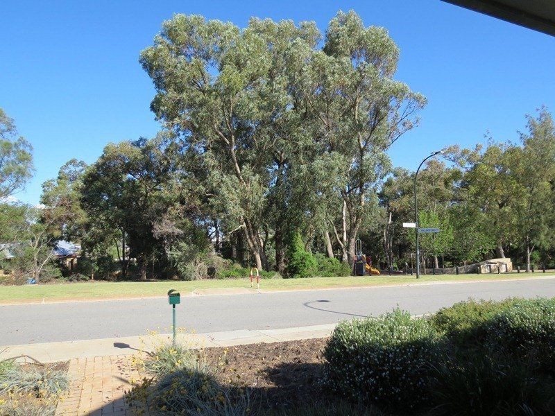 50 Abingdon Crescent, Wellard WA 6170