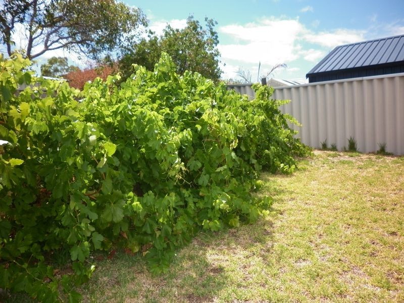 68 Perham Cres, Leda WA 6170