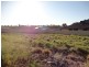 13 Mangart Road, Bertram WA 6167
