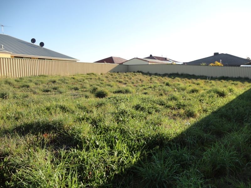 13 Mangart Road, Bertram WA 6167