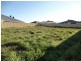 13 Mangart Road, Bertram WA 6167