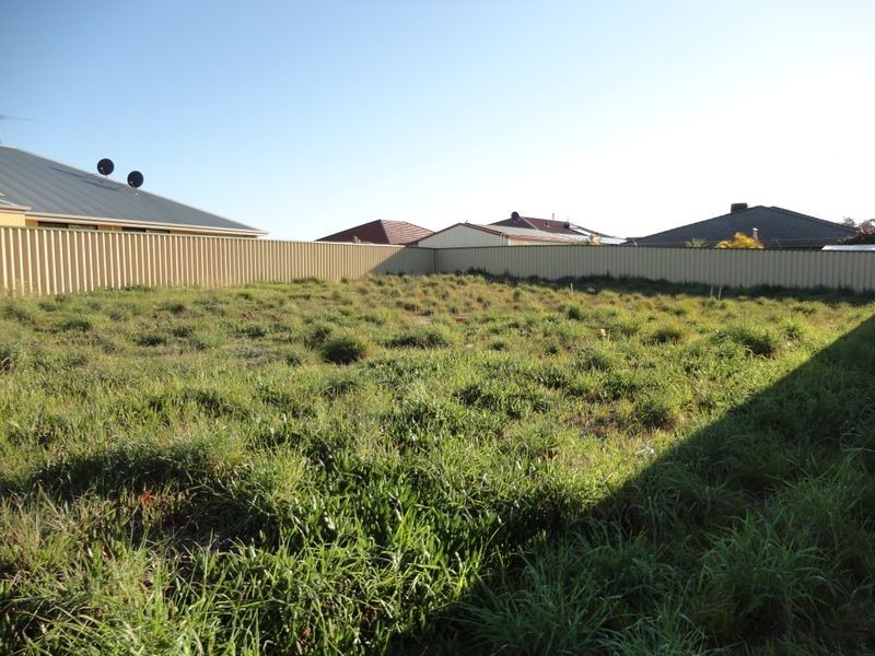 13 Mangart Road, Bertram WA 6167