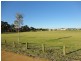 13 Mangart Road, Bertram WA 6167