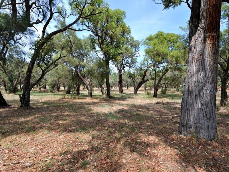 24/13 Reilly Street, Orelia WA 6167