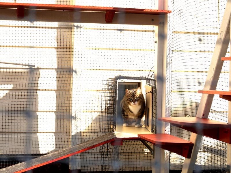 8 Munday Way, Medina WA 6167